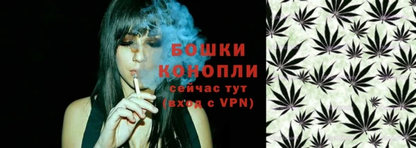 ПСИЛОЦИБИНОВЫЕ ГРИБЫ Белоозёрский