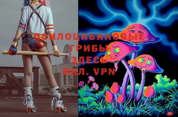 круглые Белокуриха