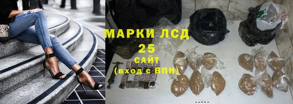 ПСИЛОЦИБИНОВЫЕ ГРИБЫ Белоозёрский