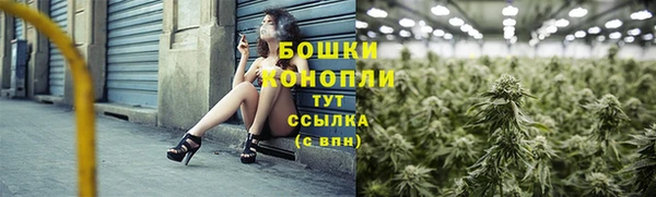 круглые Белокуриха
