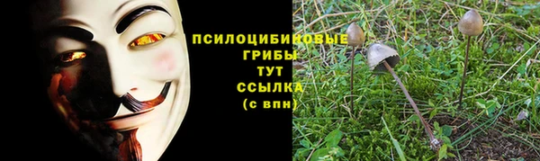 круглые Белокуриха