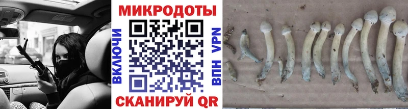 купить сайты Бородино Галлюциногенные грибы ЛСД